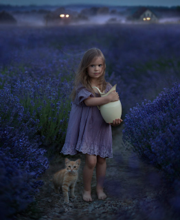 Elena Shumilova