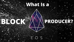 Block Producer