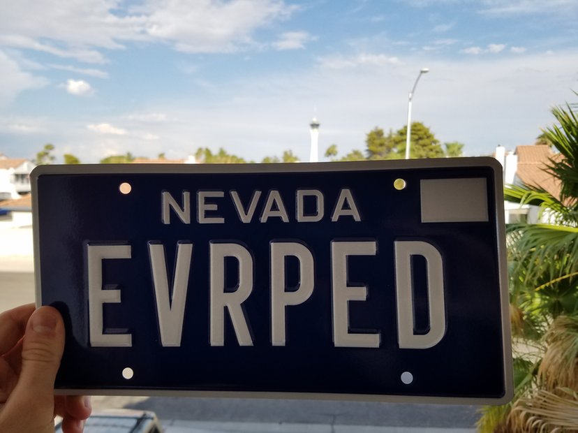 EVRPED