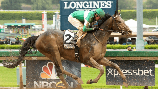 Exaggerator (horse)