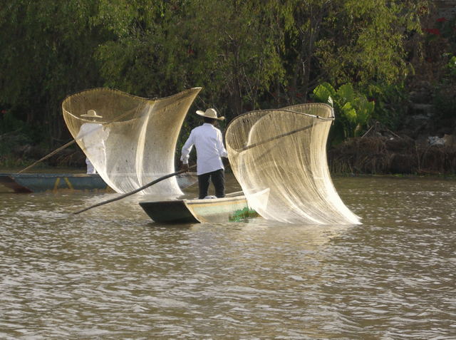 Fishing