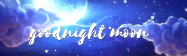 Goodnight Moon (video artist)