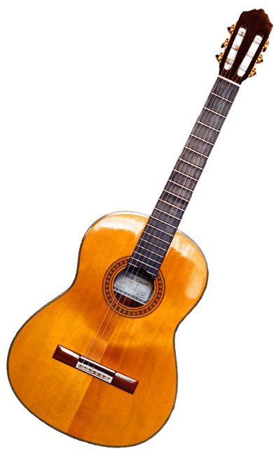 Guitar