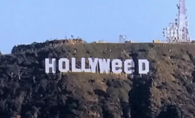 Hollyweed Prank