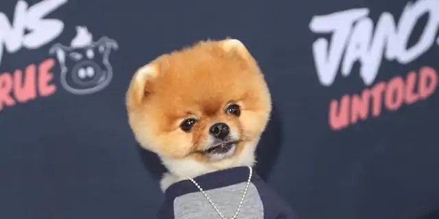 JiffPom