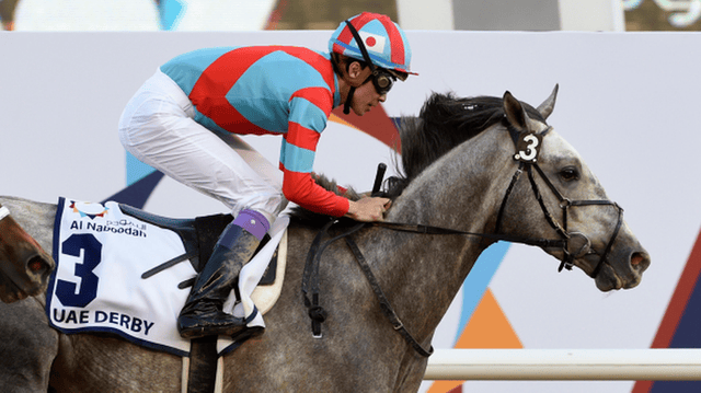 Lani (horse)