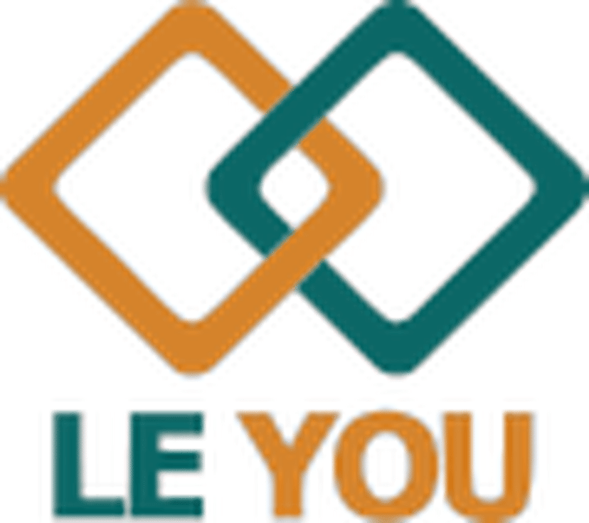 Leyou Technologies Holdings Ltd.
