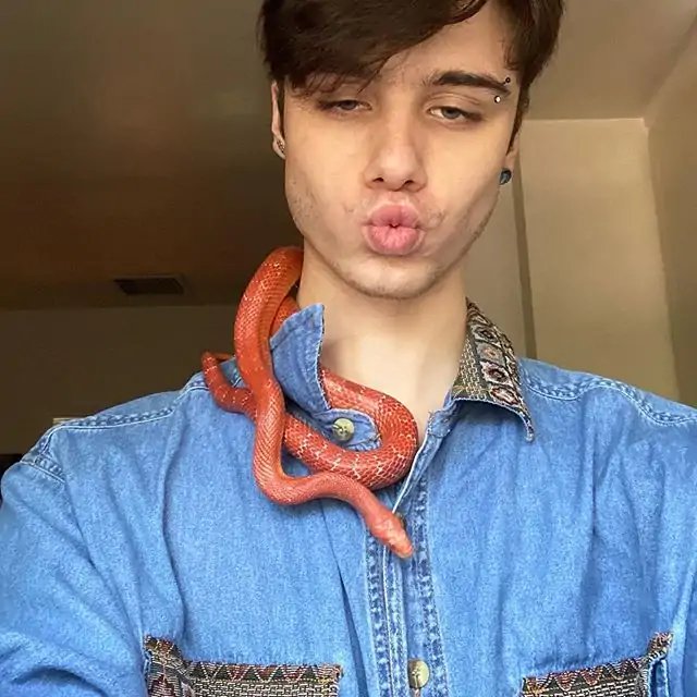 Milo Winter (TikTok Star)