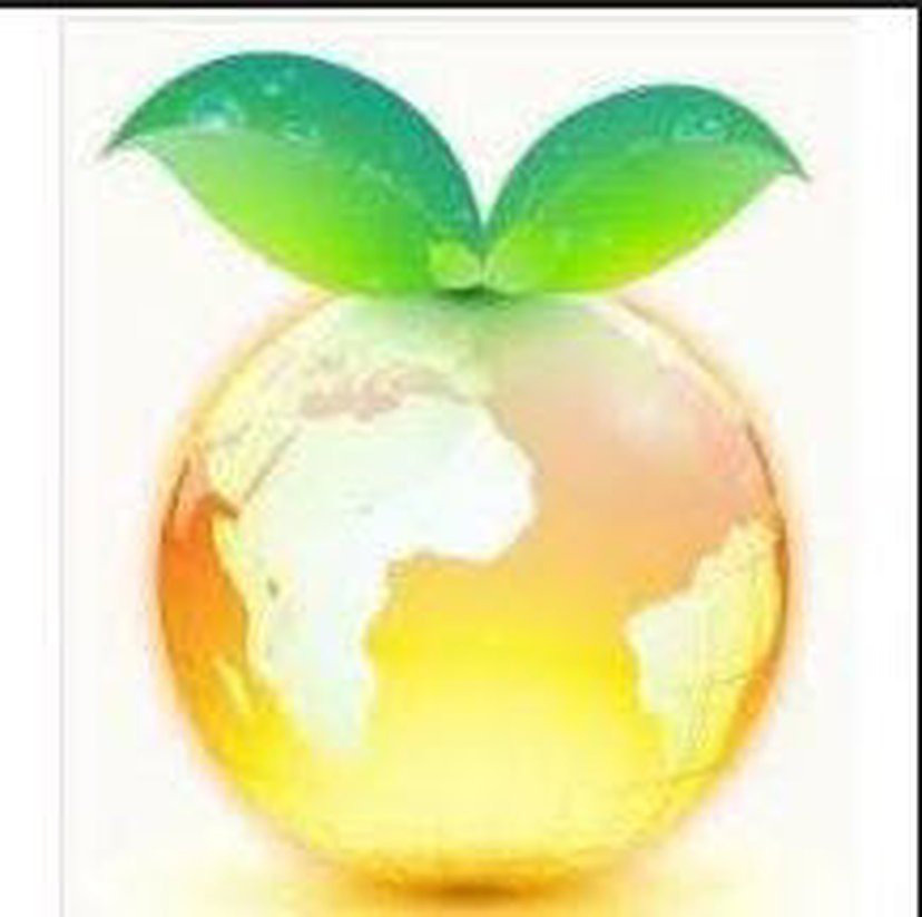 Peach Capital Partners