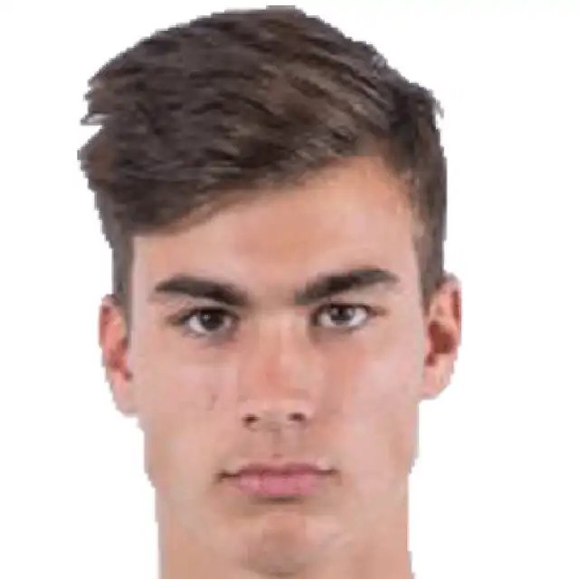 Pedro Ruiz Delgado