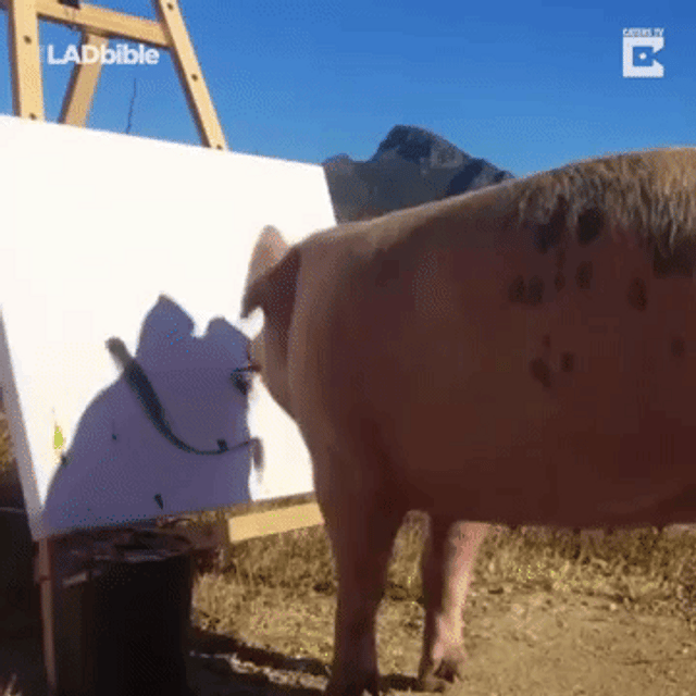 Pigcasso