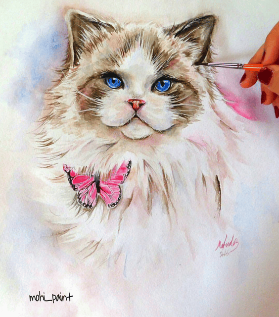 Princess Aurora (Cat)