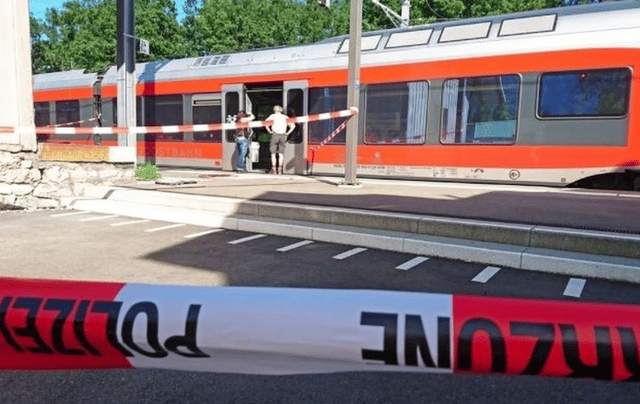 St. Gallen Salez Switzerland Knife Attack August 2016