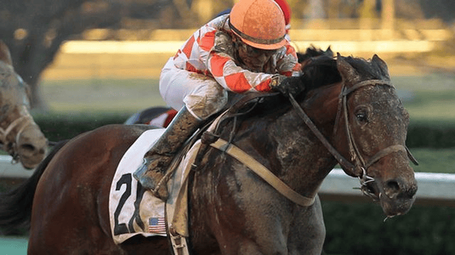 Suddenbreakingnews (horse)