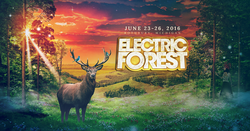 The Electric Forest 2016