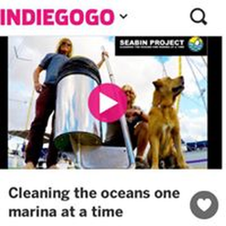 The Seabin project