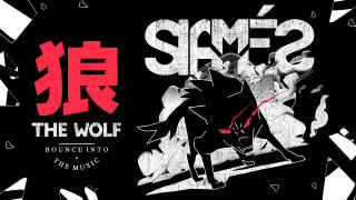 The Wolf (song)