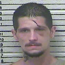 Timothy Lawson