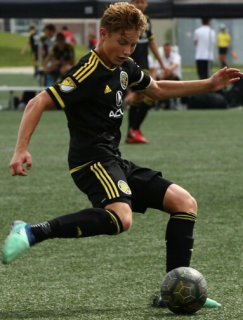 TJ Presthus