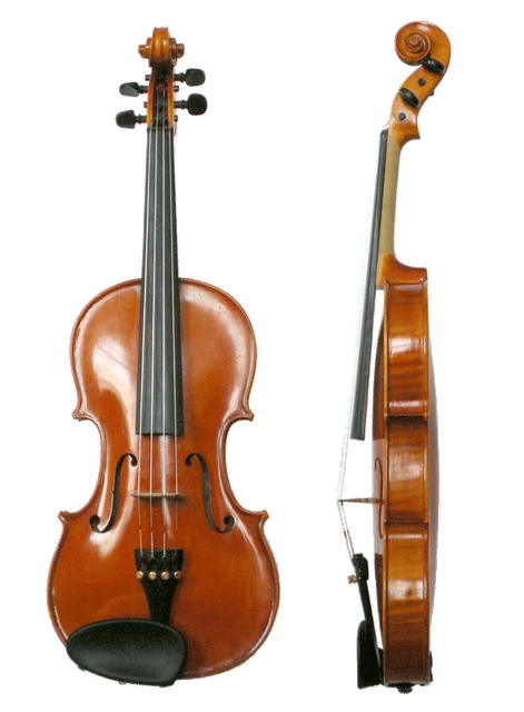 Violin