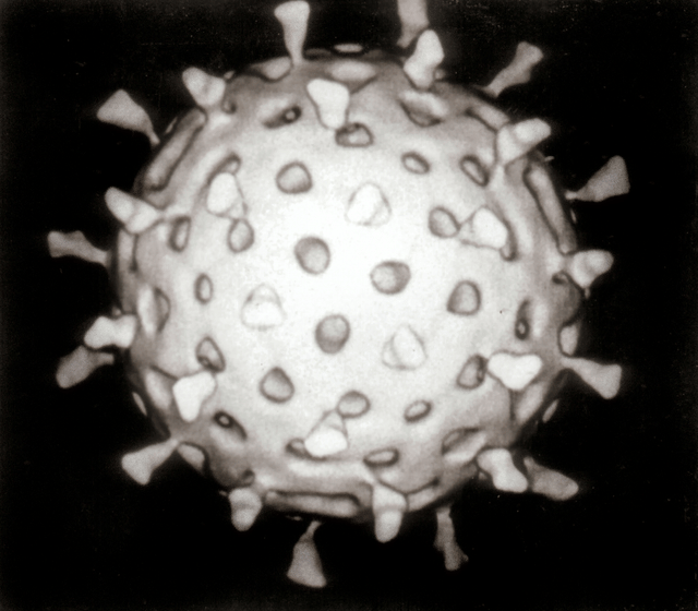 Virus