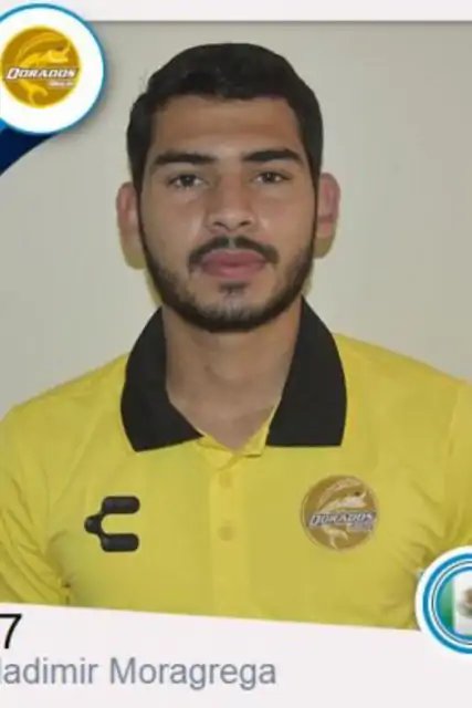 Vladimir Moragrega Soto