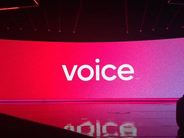 Voice