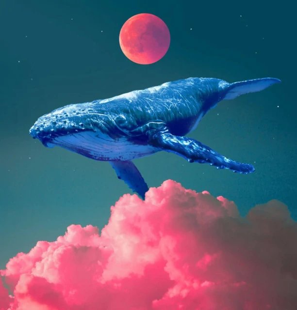 $WHALE (Cryptocurrency)