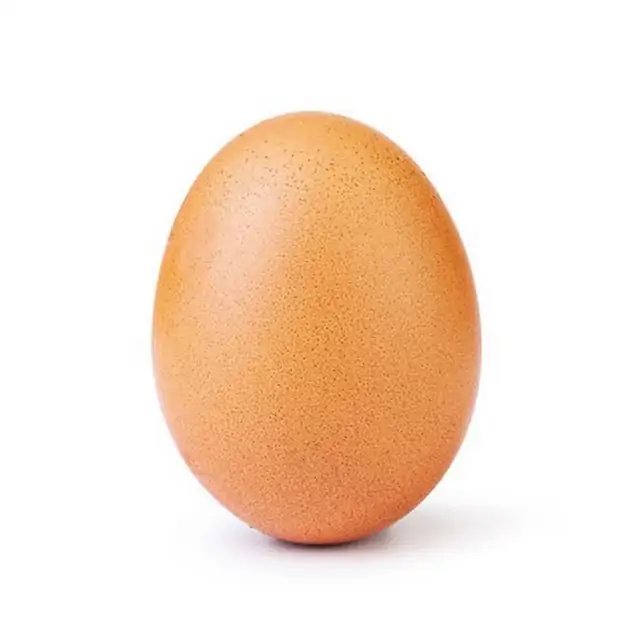 World Record Egg