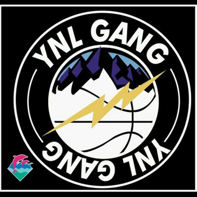 Ynl Gang