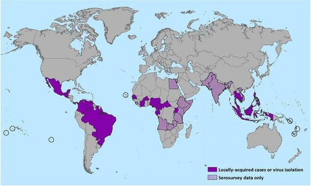 Zika Fever